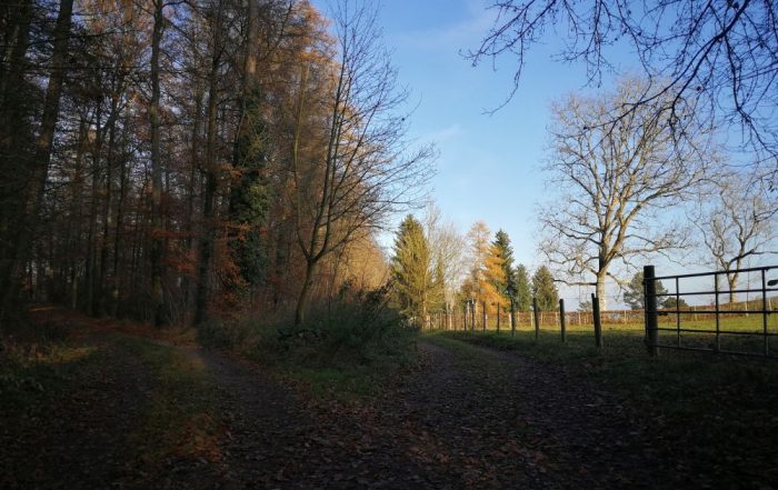 Weg zum Randen