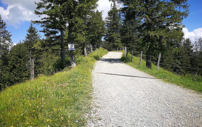 Grat auf dem Wildspitz