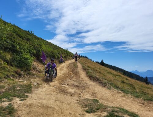 Freibourg / Handbike-Trail Cousimbert 2023