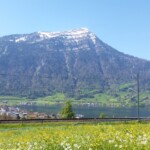 Die Rigi