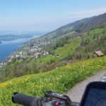 Zugersee, im Vordergrund Walchwil