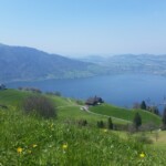 Blick auf Zugersee mit Immensse