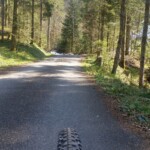 Anstieg im Wald