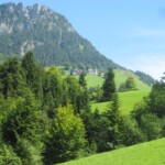 Erstmals Blick auf Niederrickenbach