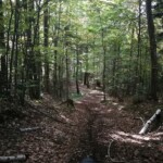 MTB-Downhill-Singletrail. Die Steilheit lässt sich nicht auf Bilder bannen.