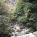 Das Tobel in der die Abfahrt ist.