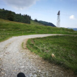 Alpweg nach Haggenegg.