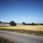 Landwirtschaftskulturen