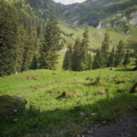 Hochmoor Landschaft