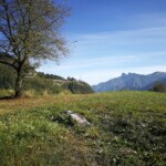 Forte Belvedere (Werk Gschwendt)