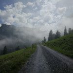 langsame Fahrt aus dem Hochnebel langsame Fahrt aus dem Hochnebel