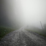 Mitten im Nebel Mitten im Nebel