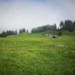 Blick zurück über die kleine Hochebene Blick zurück über die kleine Hochebene