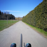 Bei Holzhäusern Bei Holzhäusern