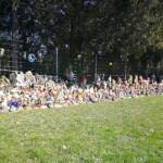 Zaungäste in Cham Zaungäste