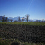 Zugersee mit Rigi Zugersee mit Rigi