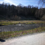 Die Sihl bei Brunau Die Sihl bei Brunau