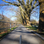 Natur in der Stadt Natur in der Stadt
