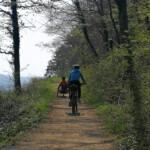 Weiterfahrt oberhalb der Wanderhütte "Bassgeige" Weiterfahrt nach der Pause