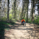 Waldwege zum geniessen Genuss Waldweg