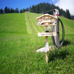 Diese Gegengewicht Seilbahn sichert die Heumaschine im steilen Hang. Gegengewicht Seilbahn