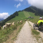 Mit dem Handbike auf dem Weg zur Holzwang Kapelle Fahrt zur Holzwang Kapelle