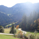 Rückblick Rückblick