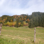 Herbstlandschaft am Hilferenpass Herbstlandschaft
