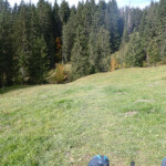 Der Grasweg ins Hochmoof Grasweg ins Hochmoor