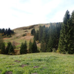 Hochmoor am Hilferenpass Hochmoor