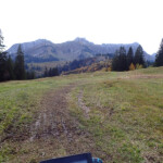 Der Grasweg ist eher sumpfig. sumpfig
