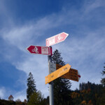 MTB-Route 817 ist richtig. Route 817