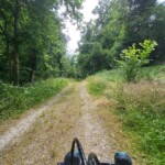 Singletrail