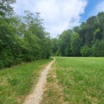 Singletrail