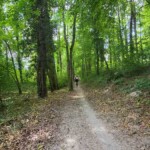 Singeltrail
