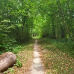 Singletrail