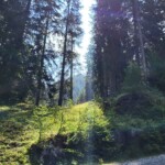 Plaun de la Tettaglia