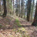 Auffahrt auf den Ulmizberg Auffahrt auf den Ulmizberg