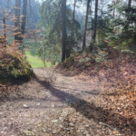 Schöne Abfahrt vom Ulmizberg Abfahrt vom Ulmizberg