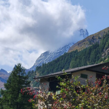 Auch mit Nebel imposant Auch mit Nebel imposant